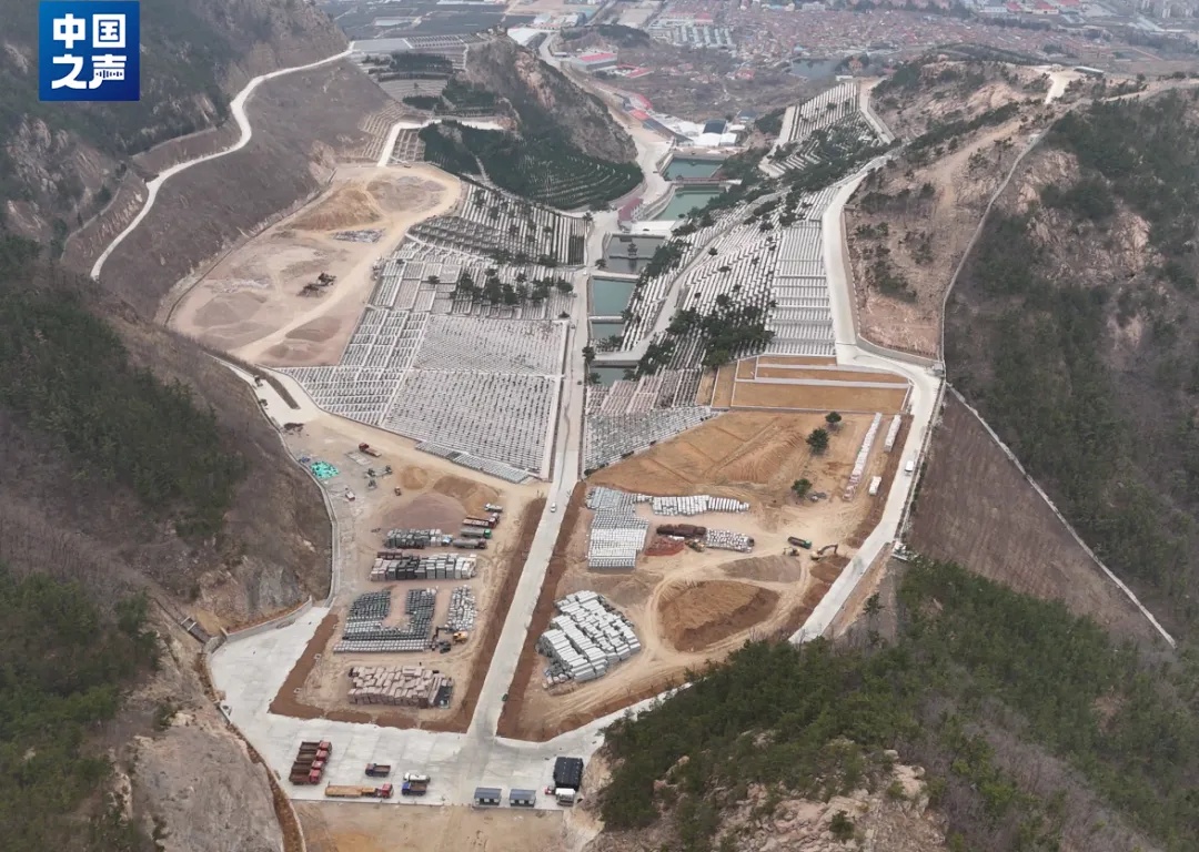 青岛深夜回应:立即成立调查组! 青岛深夜回应:立即成立调查组!