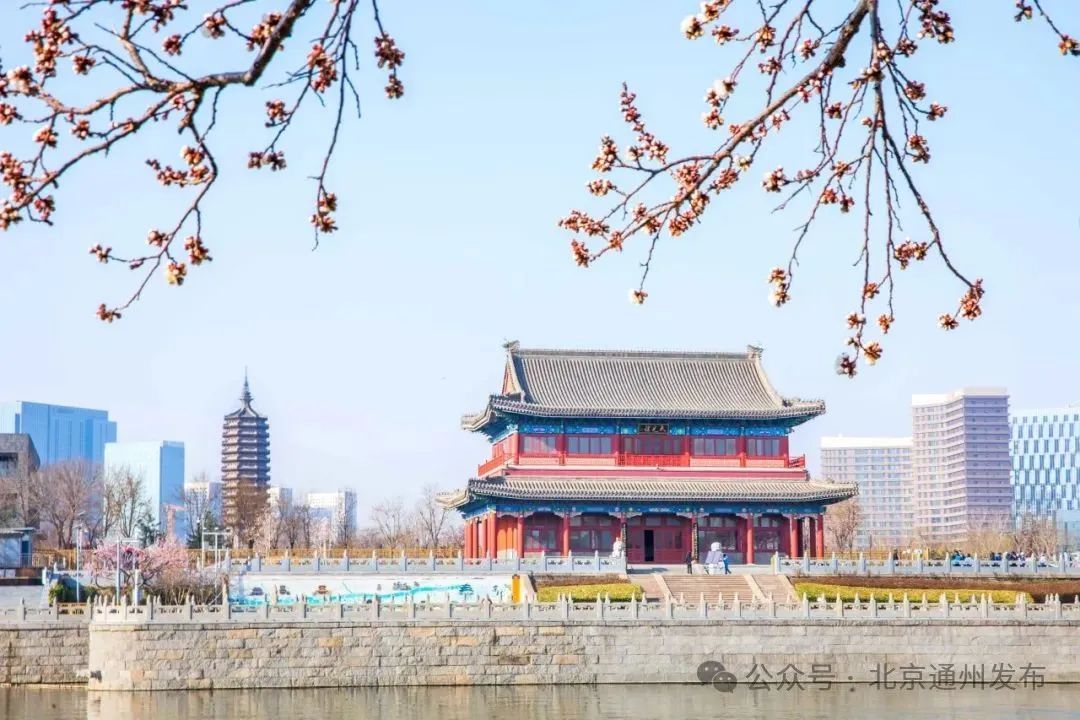 太美啦！北京城市副中心推出三条“赏花+”特色路线！快来打卡~