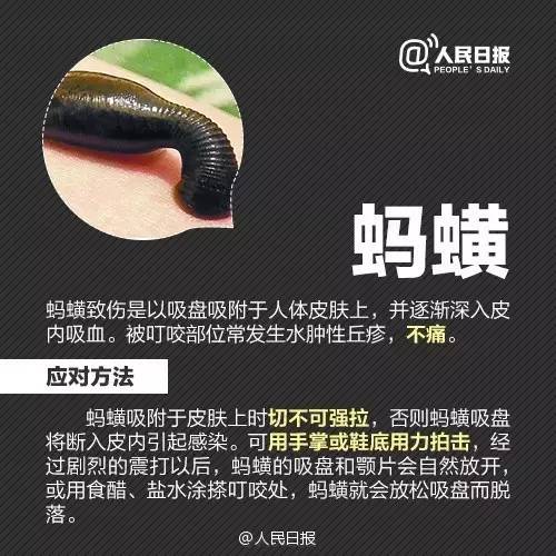警惕！这个“黑点”正值高峰期，严重或致死