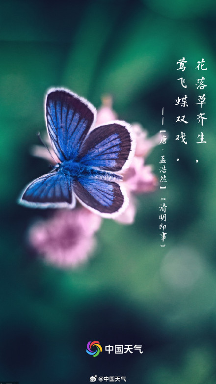 转发收藏！这9首关于清明的诗句一定要知道