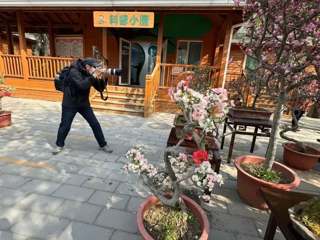 第一次展出，只有手巴掌大！北京这个公园的文化节千万别错过