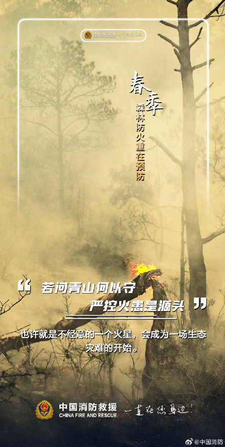 春季森林防火重在预防