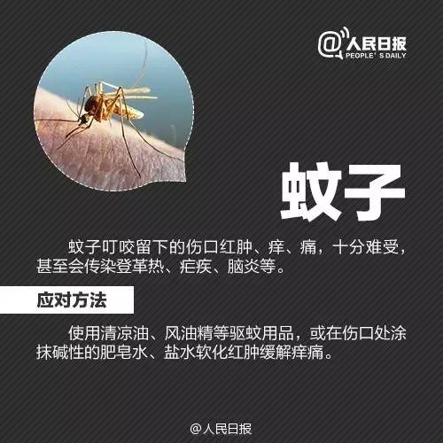 警惕！这个“黑点”正值高峰期，严重或致死