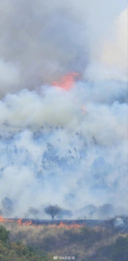 云南洱源突发山火 正在紧急扑救中