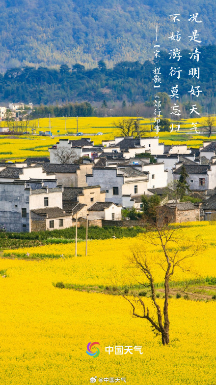 转发收藏！这9首关于清明的诗句一定要知道