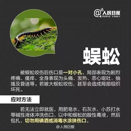 警惕！这个“黑点”正值高峰期，严重或致死