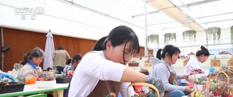 花木产业新“花”样 “美丽经济”活力澎湃