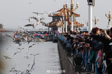 你出行了吗？清明假期第一天跨区域人员流动量超2.6亿人次