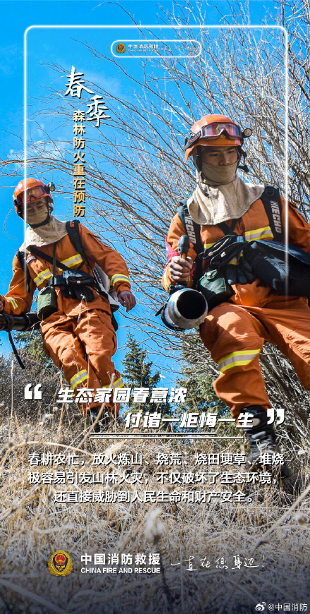 春季森林防火重在预防