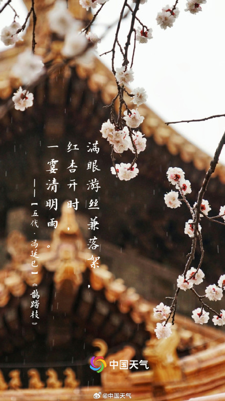 转发收藏！这9首关于清明的诗句一定要知道