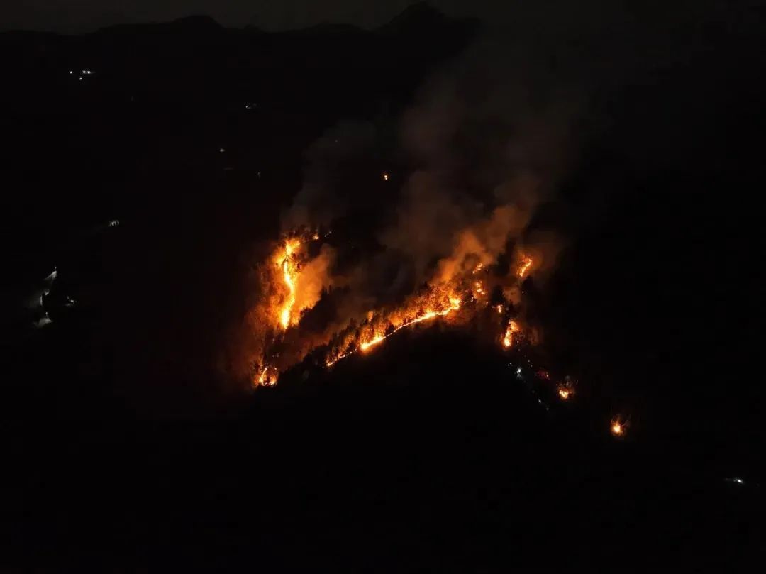 人为原因引发森林火灾，贵州近期宣判三起失火案！