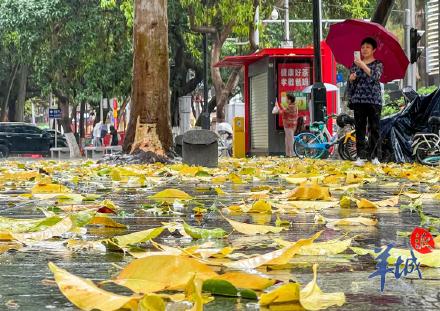 注意防御！清明假期最后一天，广州“风雨雹”预警上线