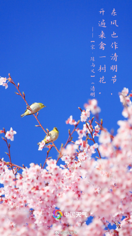 转发收藏！这9首关于清明的诗句一定要知道