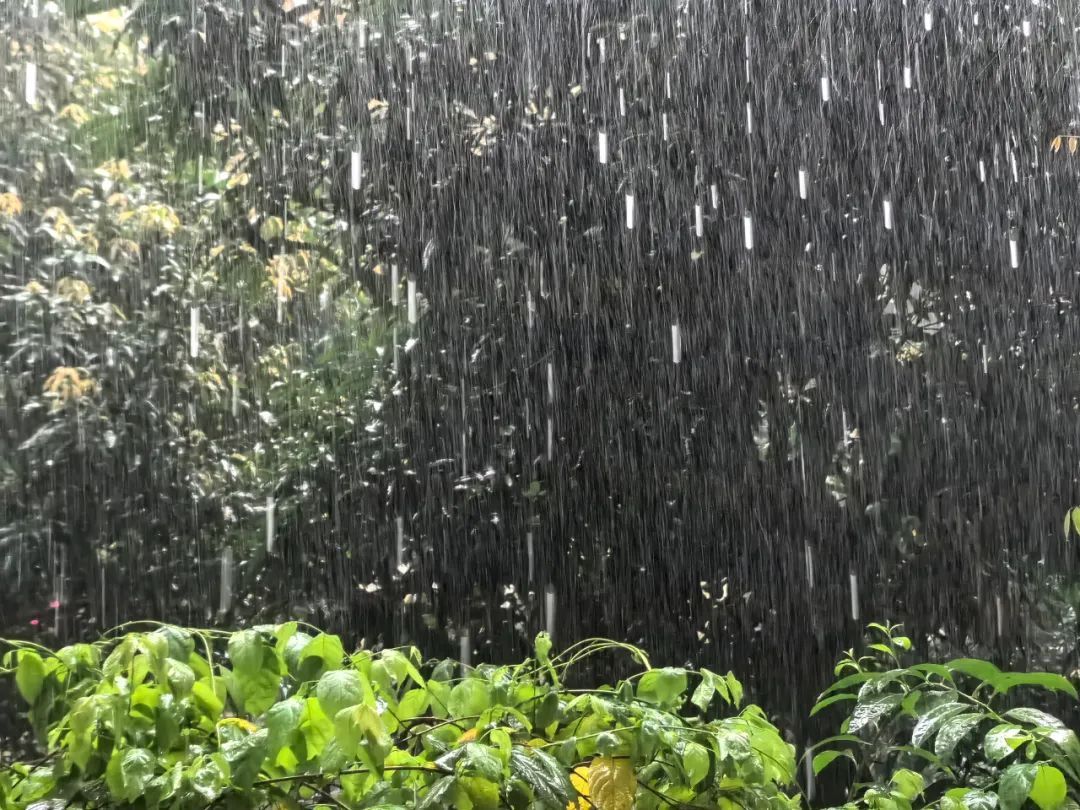 冰雹+暴雨+雷电大风！广州启动防暴雨内涝三级应急响应