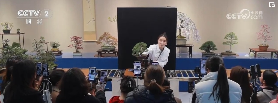 花木产业新“花”样 “美丽经济”活力澎湃
