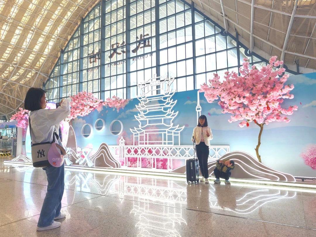 与花海来一场浪漫邂逅!这几趟列车含“樱”量超高 与花海来一场浪漫邂逅!这几趟列车含“樱”量超高