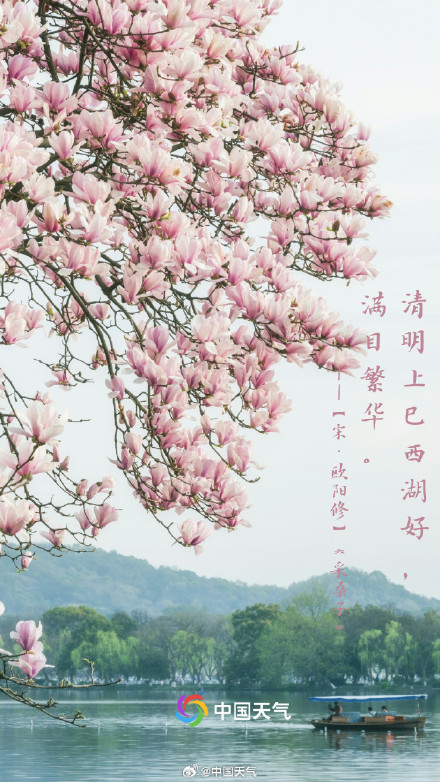 转发收藏！这9首关于清明的诗句一定要知道