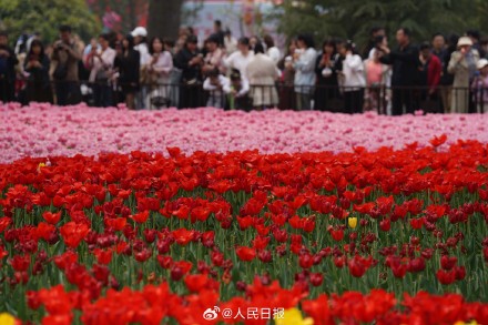 清明假期国内旅游1.19亿人次 清明假期国内旅游1.19亿人次