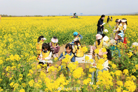 清明假期国内旅游1.19亿人次 清明假期国内旅游1.19亿人次