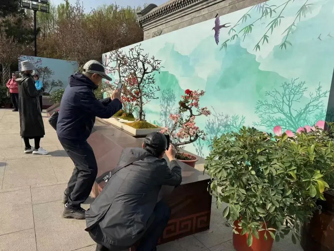 第一次展出，只有手巴掌大！北京这个公园的文化节千万别错过