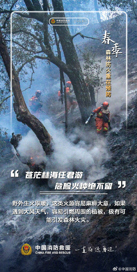 春季森林防火重在预防