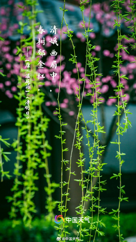 转发收藏！这9首关于清明的诗句一定要知道