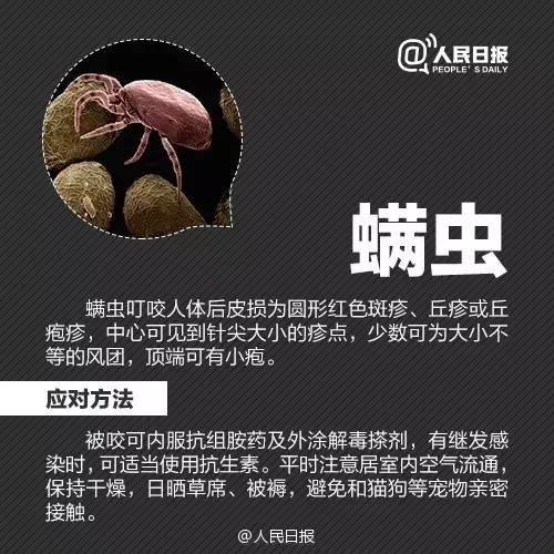警惕！这个“黑点”正值高峰期，严重或致死