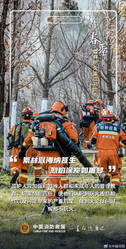 春季森林防火重在预防