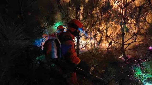 明火已扑灭！云南洱源山火最新进展......