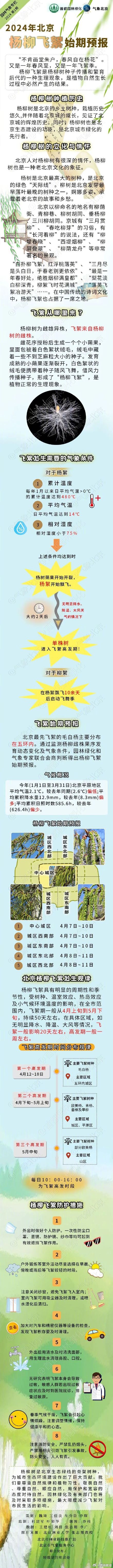 预警！北京发布2024年首个杨柳飞絮预报