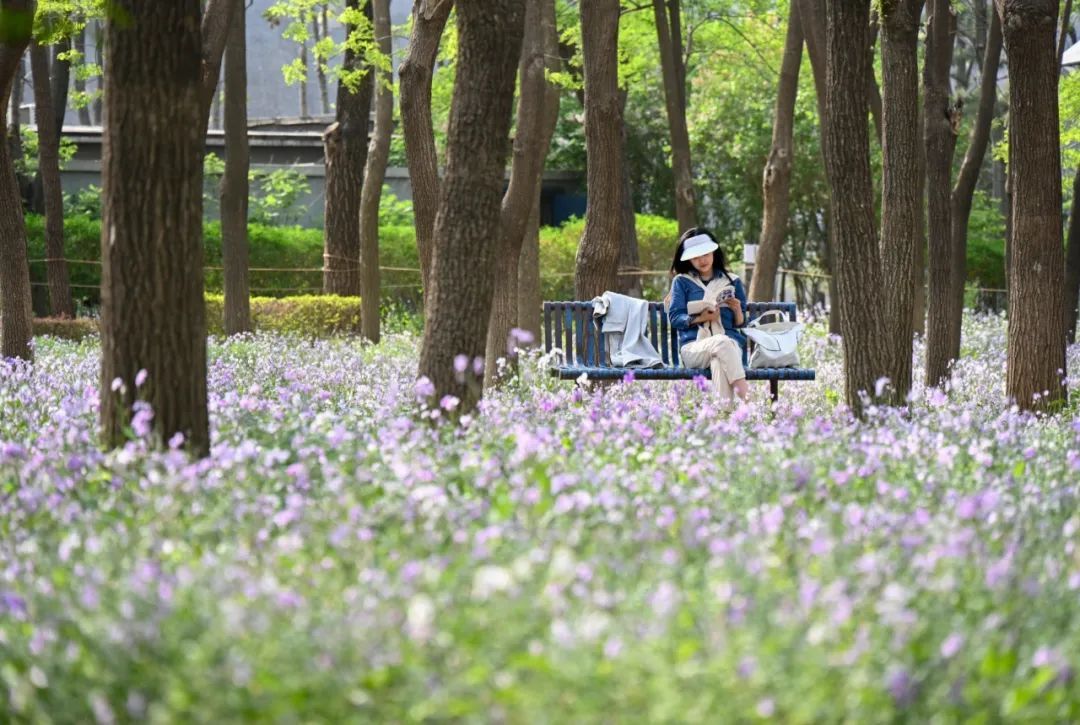 占地700亩!北京朝阳东部今年将新增一座公园 占地700亩!北京朝阳东部今年将新增一座公园