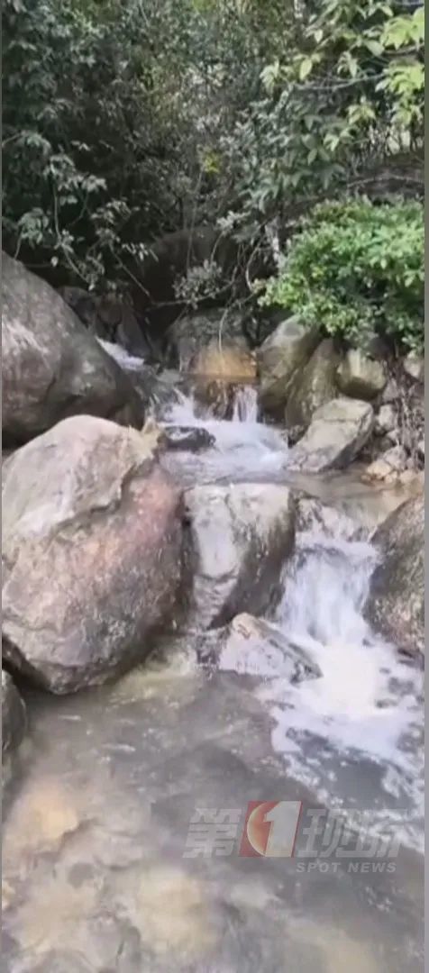 广东一男子鼻中，拽出7-8厘米水蛭！只因……很多人都做过