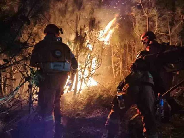 明火已扑灭！云南洱源山火最新进展......