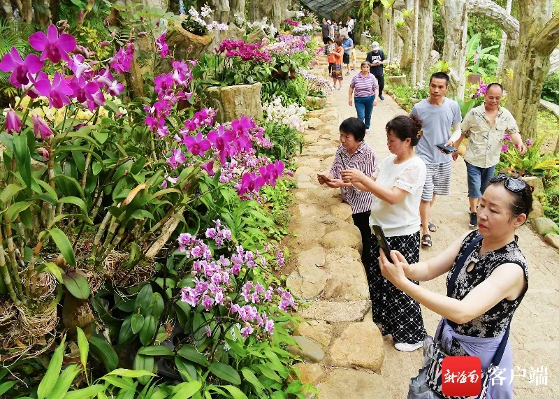 多项数据增长！清明假期海南旅游“成绩单”出炉