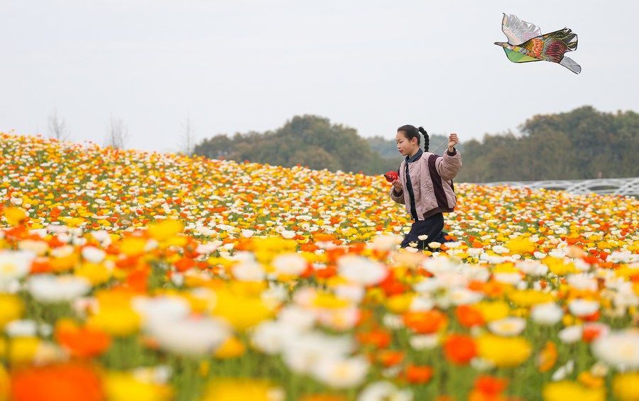 新华财经|踏青赏花正当时 清明假期消费活力释放 新华财经|踏青赏花正当时 清明假期消费活力释放