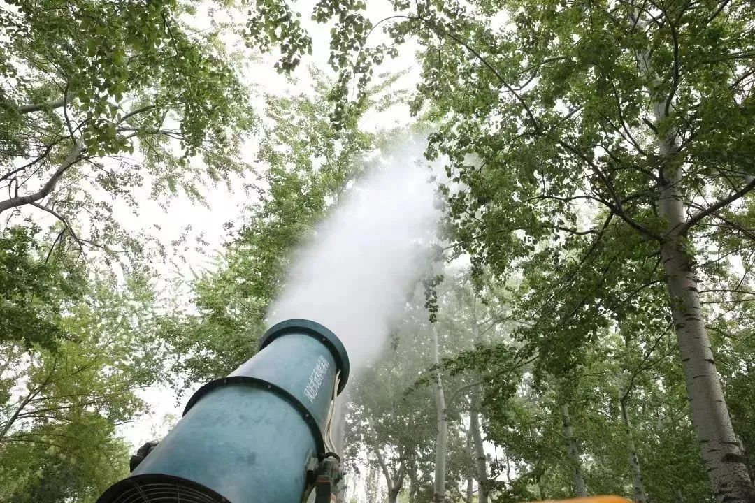 北京中心城区进入“飞雪”模式!第一个高发期在>> 北京中心城区进入“飞雪”模式!第一个高发期在>>