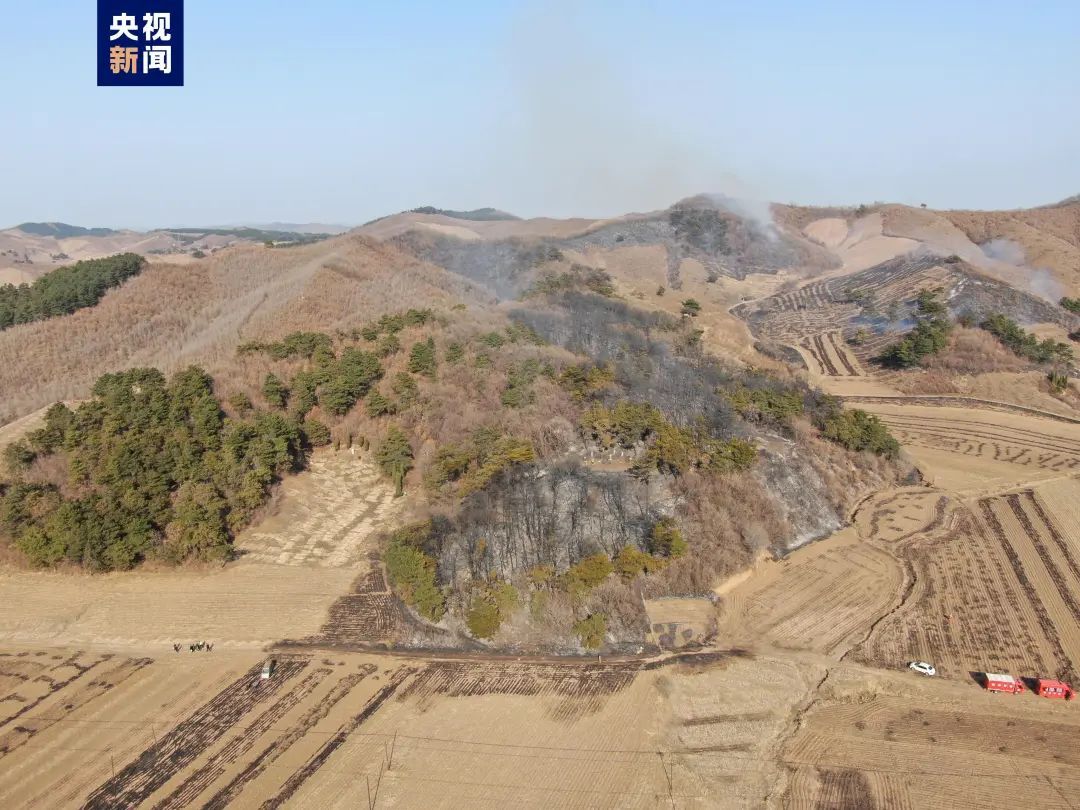 辽宁抚顺突发山火！最新情况