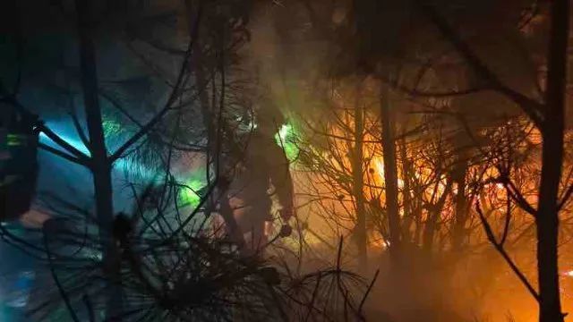 明火已扑灭！云南洱源山火最新进展......