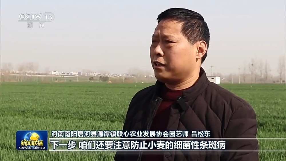 奋起争春!各地按下春耕备耕“农忙”键 奋起争春!各地按下春耕备耕“农忙”键