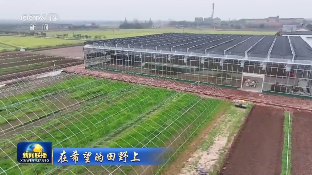 奋起争春!各地按下春耕备耕“农忙”键 奋起争春!各地按下春耕备耕“农忙”键