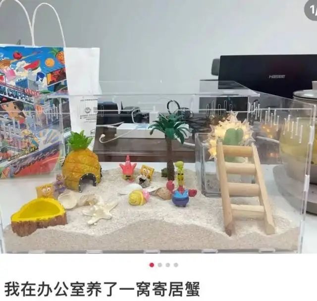 00后女生打造“春天工位”引围观！当代年轻人都在爆改工位，你是哪一种？