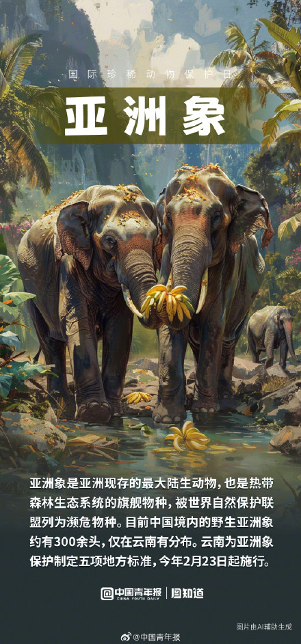 国际珍稀动物保护日：它们自在生活的样子真美