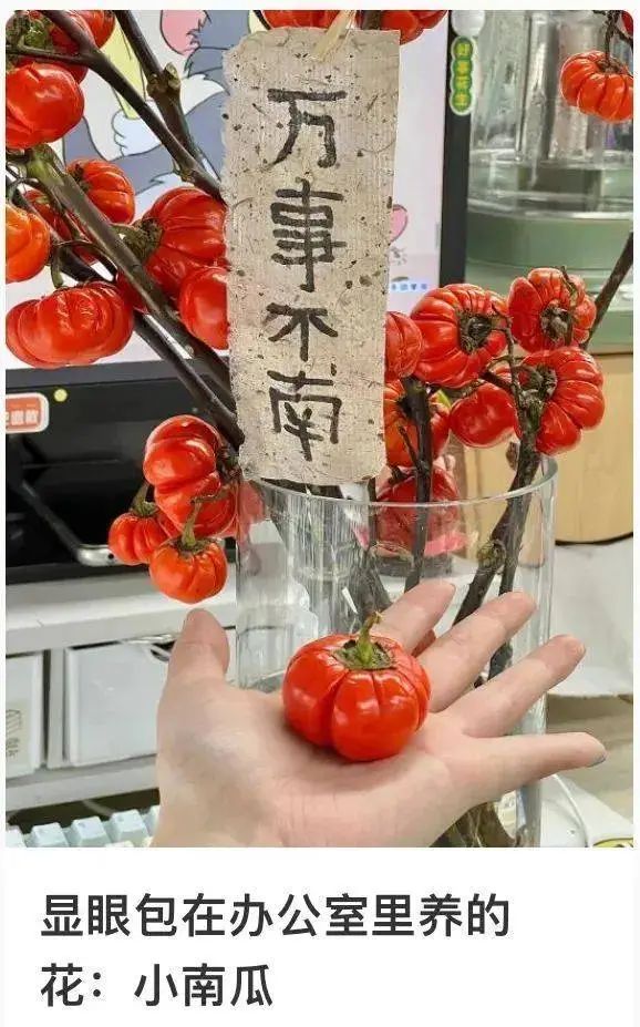 00后女生打造“春天工位”引围观！当代年轻人都在爆改工位，你是哪一种？