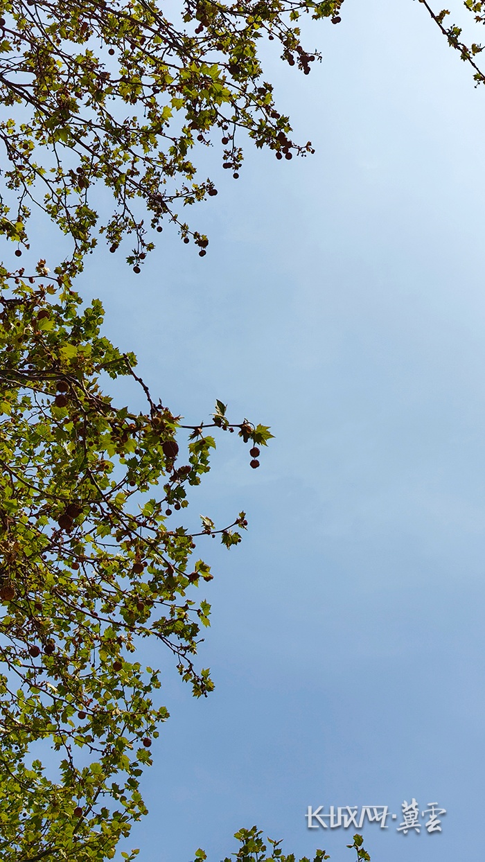 2次降水!河北本周:阵雨+降温8℃+阵风8级→ 2次降水!河北本周:阵雨+降温8℃+阵风8级→