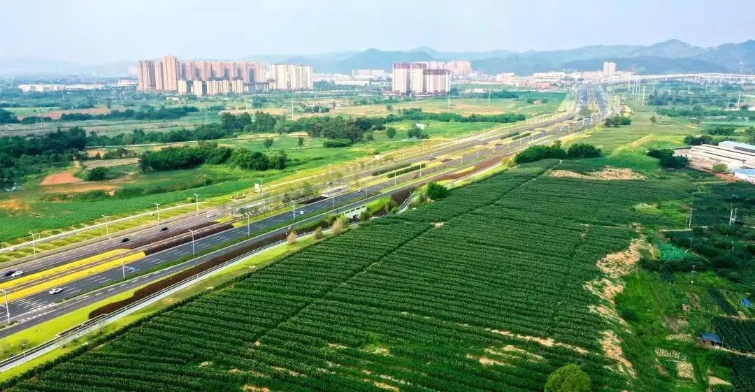 成都市龙泉驿区给农业现代化插上科技翅膀