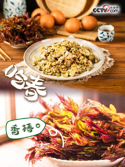 春天有哪些野菜可以吃？