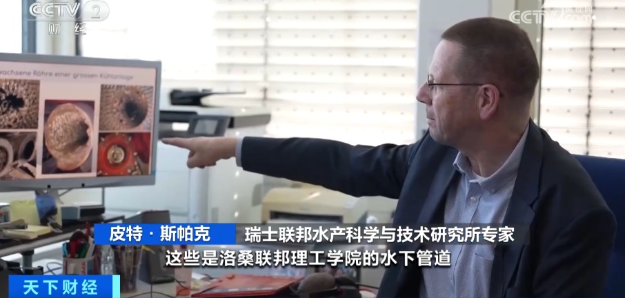 密恐犯了！外来物种入侵！这里的整个水系已被占据