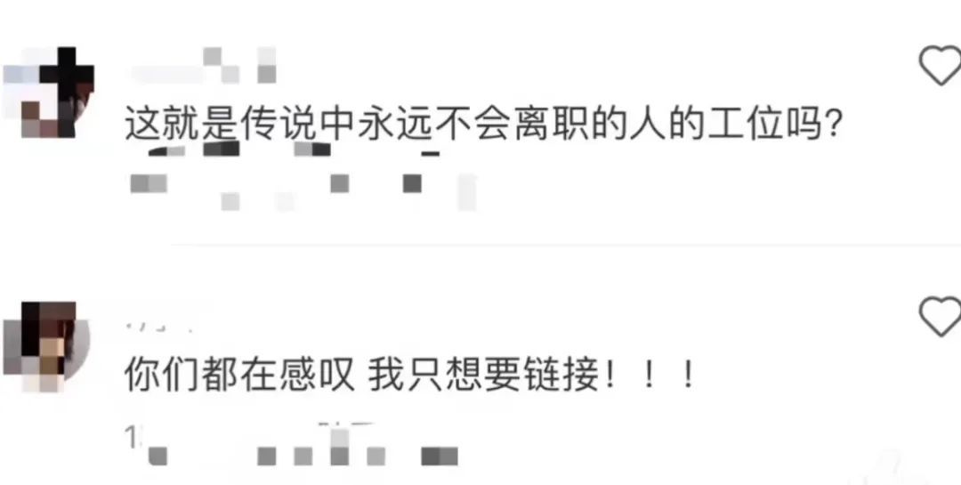 00后女生打造“春天工位”引围观！当代年轻人都在爆改工位，你是哪一种？