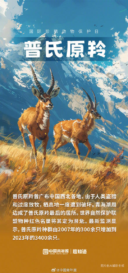 国际珍稀动物保护日：它们自在生活的样子真美