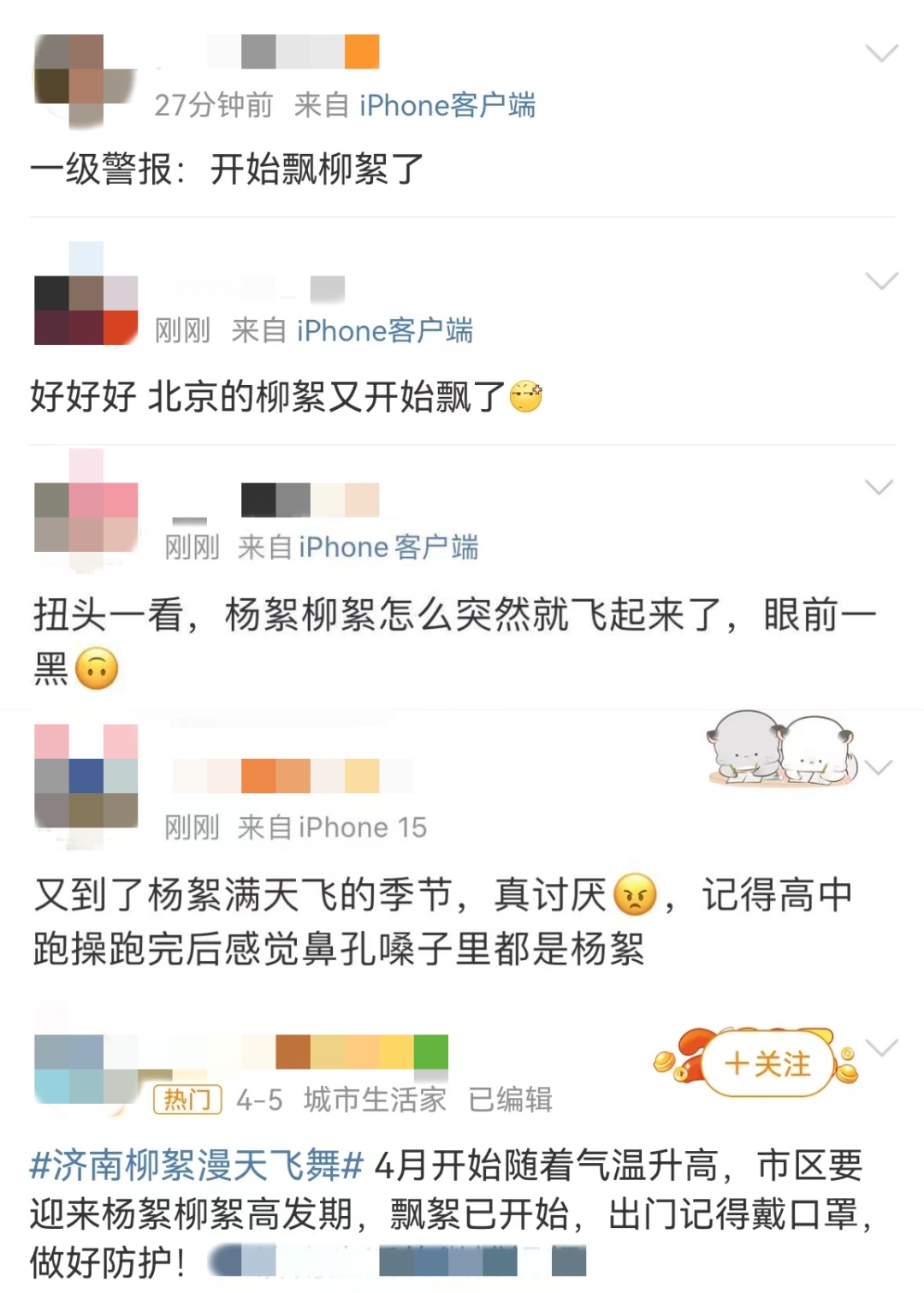漫天飞絮来了！武汉疾控提醒